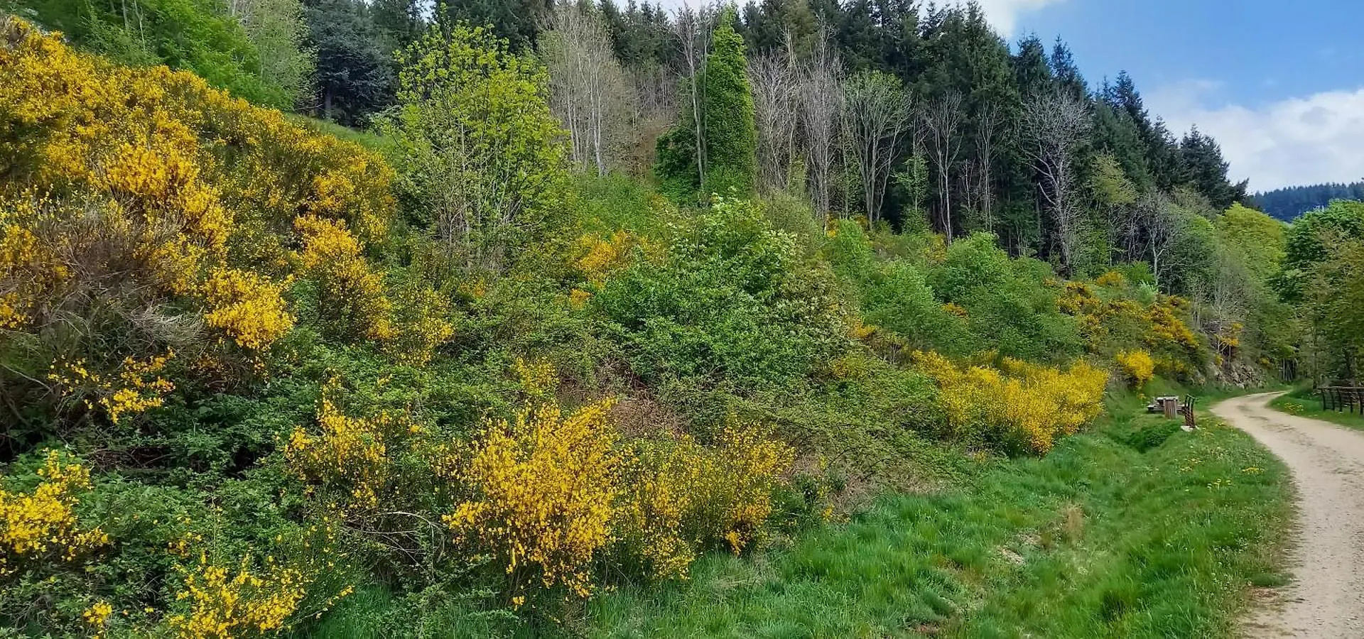 Les Soleillas Pour Votre Zen'Ittude Chalencon Campsite