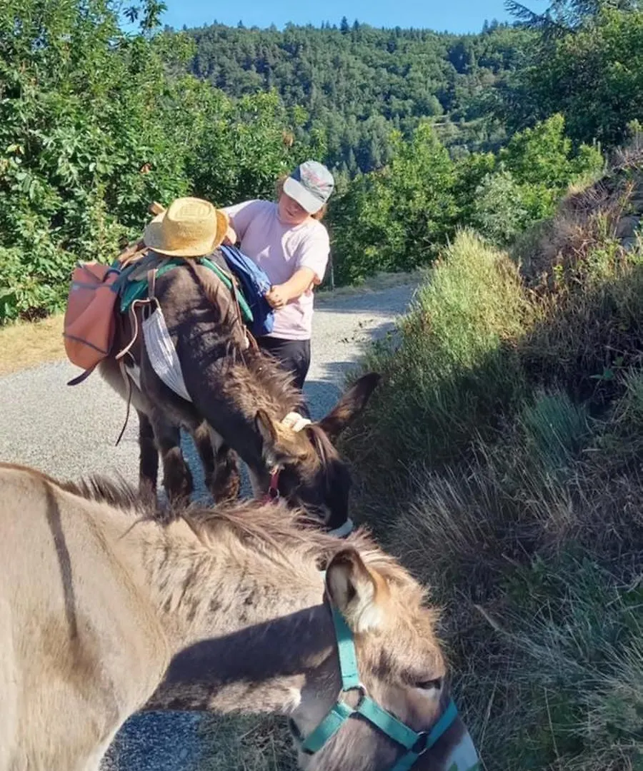 Campsite Les Soleillas Pour Votre Zen'Ittude Chalencon