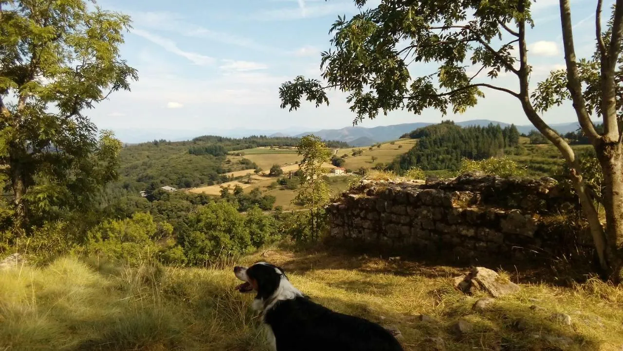Campsite Les Soleillas Pour Votre Zen'Ittude Chalencon
