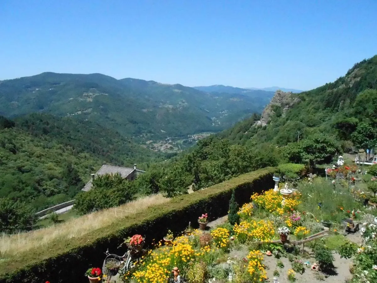 Les Soleillas Pour Votre Zen'Ittude Chalencon France
