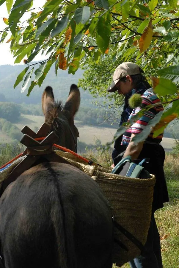 Les Soleillas Pour Votre Zen'Ittude Chalencon Campsite